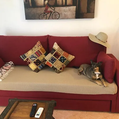 La Rosaleda 82 * Denia