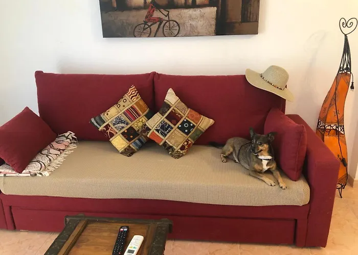 La Rosaleda 82 * Denia